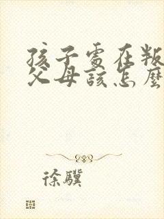 孩子处在叛逆期父母该怎么做封面