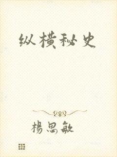 纵横秘史封面