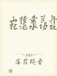 山楂黄芪丹参枸杞泡水功效及副作用