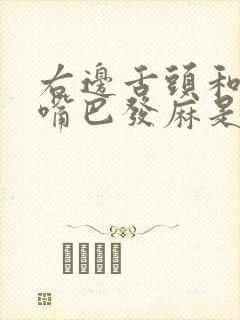 右边舌头和半边嘴巴发麻是什么原因