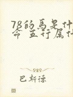 78的马是什么命 五行属什么