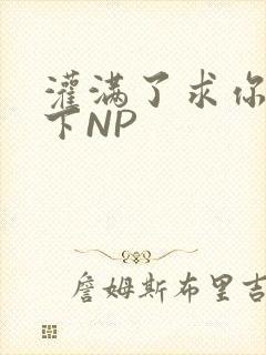 灌满了求你们停下NP