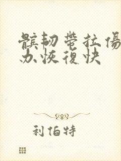 髌韧带拉伤怎么办恢复快封面