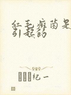 红毛癣菌是什么引起的