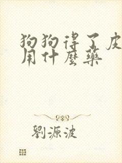 狗狗得了皮肤病用什么药封面
