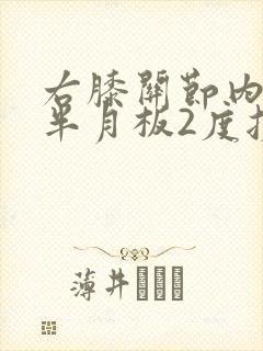 右膝关节内外侧半月板2度损伤怎么治疗