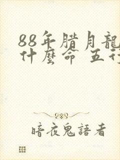 88年腊月龙是什么命 五行属什么