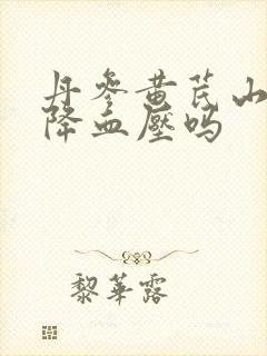 丹参黄芪山楂能降血压吗封面