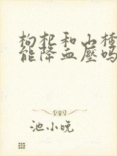 枸杞和山楂泡水能降血压吗