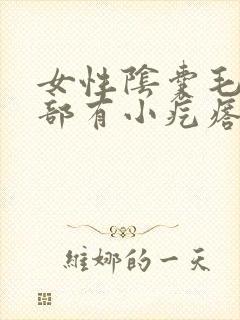 女性阴囊毛发根部有小疙瘩