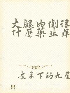 大腿内侧很痒用什么药止痒