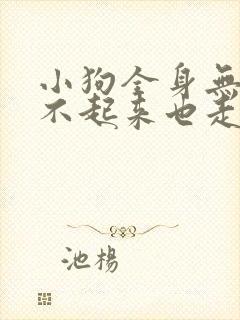 小狗全身无力站不起来也走不动路封面