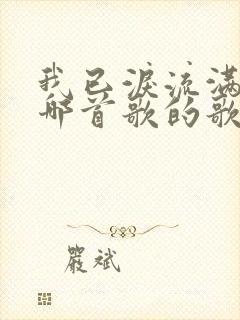 我已泪流满面是哪首歌的歌词