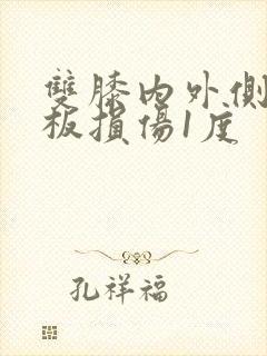 双膝内外侧半月板损伤1度