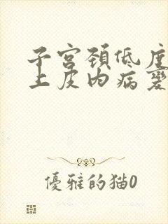 子宫颈低度鳞状上皮内病变是什么意思