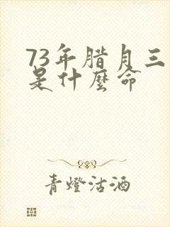 73年腊月三十是什么命封面