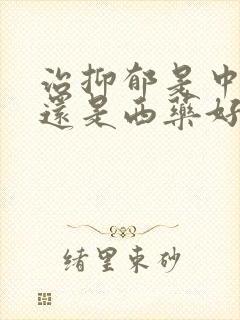 治抑郁是中药好还是西药好