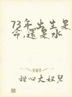 73年出生是木命,还是水