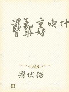 湿气重吃什么补肾药好