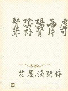 肾阴阳两虚吃参茸补肾片可以吗