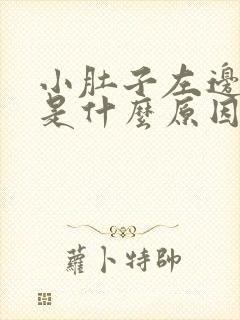 小肚子左边胀疼是什么原因女性