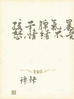 孩子脾气暴躁易怒,情绪不受控制