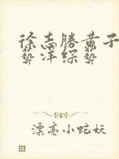徐志胜黄子韬徐艺洋综艺封面