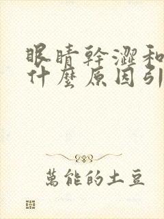 眼睛干涩和痒是什么原因引起的