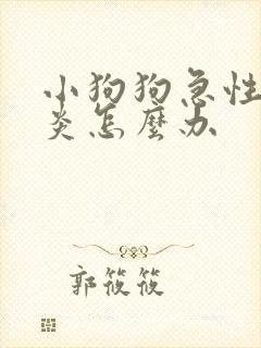 小狗狗急性肠胃炎怎么办