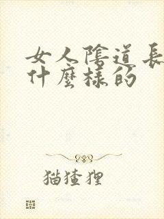 女人阴道长疣是什么样的封面