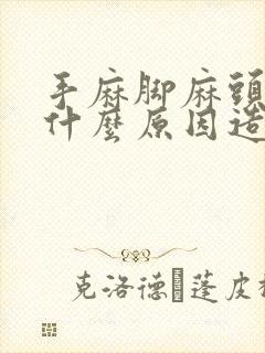 手麻脚麻头晕是什么原因造成的