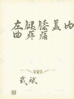 左腿膝盖内侧弯曲疼痛封面
