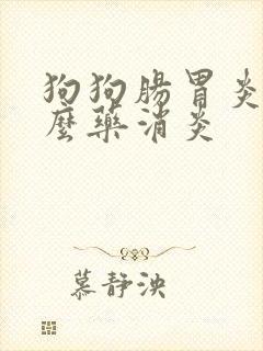 狗狗肠胃炎吃什么药消炎