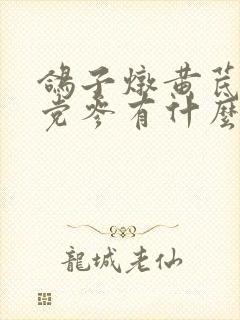 鸽子炖黄芪麦冬党参有什么功效