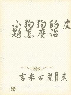 小狗狗的皮肤问题怎么治封面