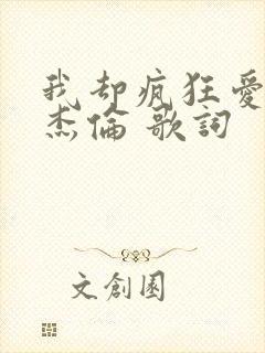 我却疯狂爱上周杰伦 歌词封面