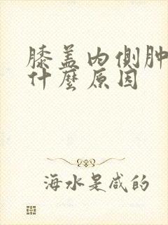 膝盖内侧肿痛是什么原因