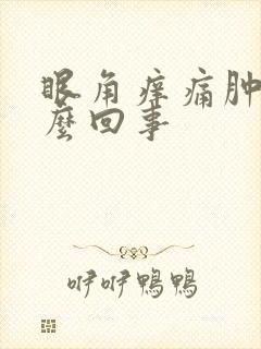 眼角痒痛肿是怎么回事