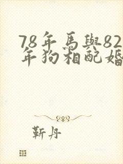 78年马与82年狗相配婚姻如何