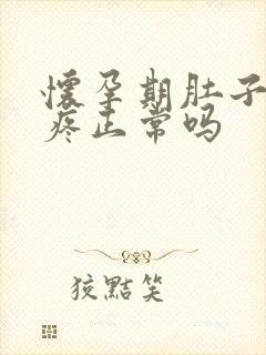 怀孕期肚子有点疼正常吗封面