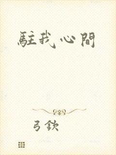 驻我心间封面