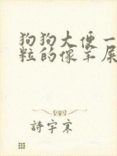 狗狗大便一粒一粒的像羊屎
