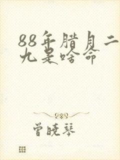 88年腊月二十九是啥命封面