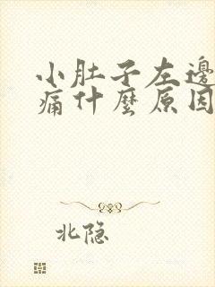 小肚子左边下方痛什么原因女性