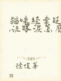 猫咪经常眨眼睛,流眼泪怎么回事