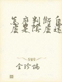 怎么判断自己脾虚是阴虚还是阳虚
