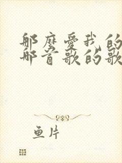 那么爱我的你是哪首歌的歌词