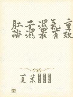 肚子湿气重怎么排湿最有效