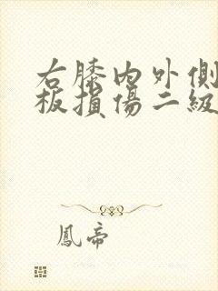 右膝内外侧半月板损伤二级