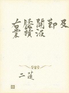 右膝关节及髌上囊积液
